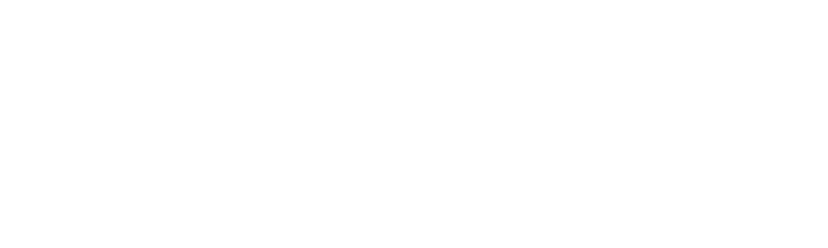 fassi